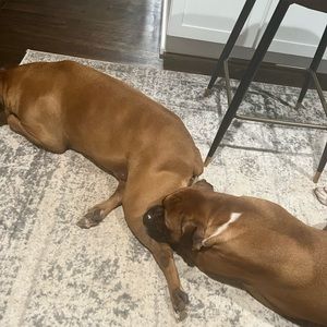 Meet your Posher, Andra